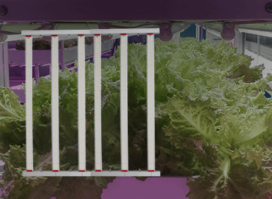 植物生長燈CHDM01300