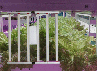 植物生長(zhǎng)燈CHDM01600