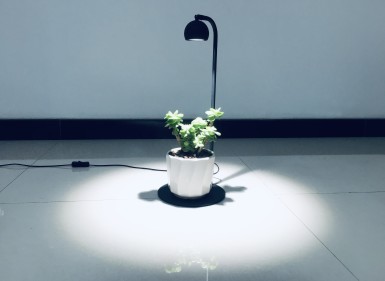 苔蘚微景觀植物補光燈CH-PZ0950YA