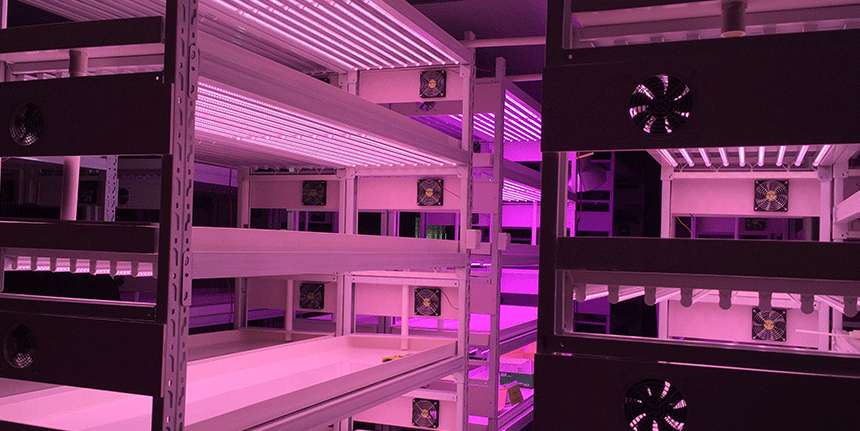 LED植物燈