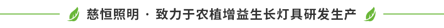 慈恒公司優(yōu)勢