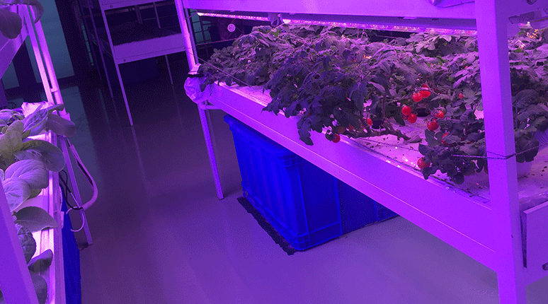 慈恒LED植物生長(zhǎng)燈
