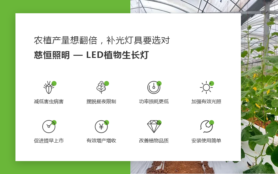 佛山市南海區(qū)慈恒照明有限公司