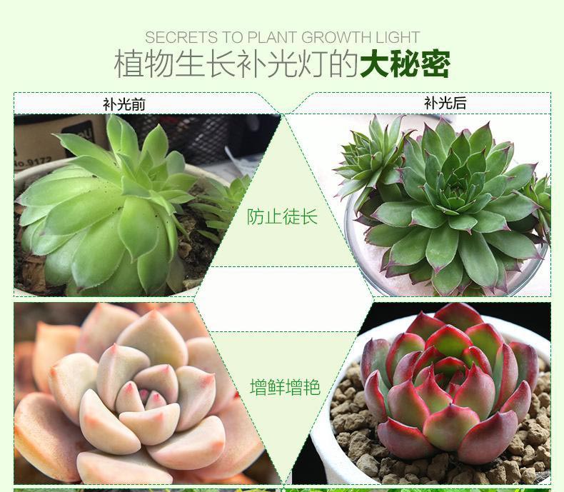 植物補(bǔ)光燈.jpg